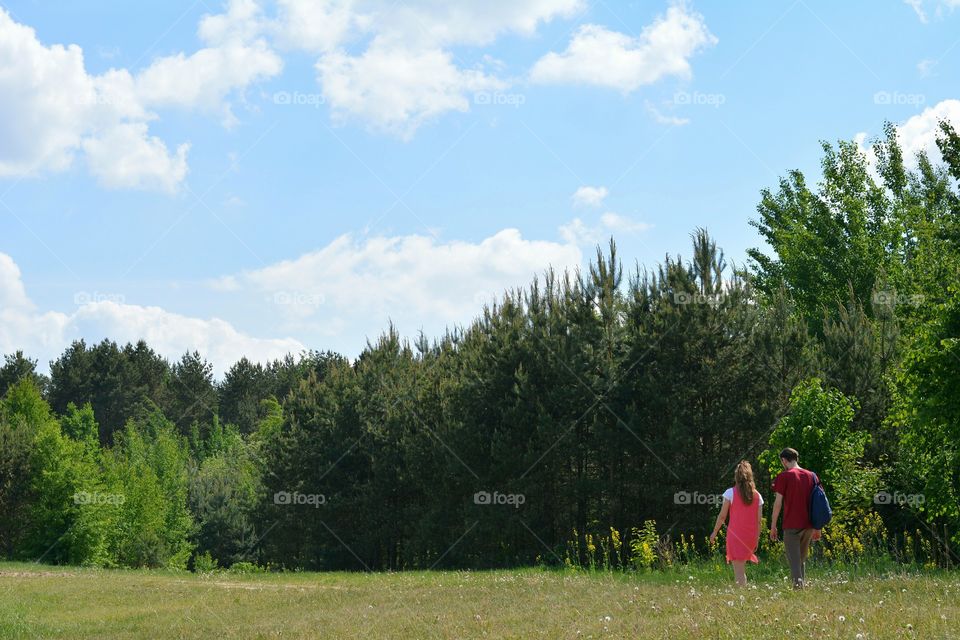 Landscape, Tree, Outdoors, Summer, Nature