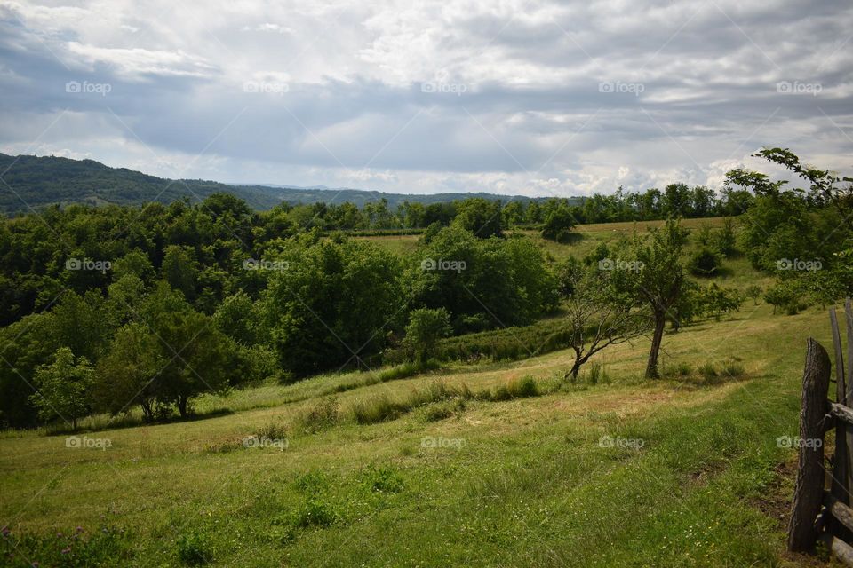 a beautiful rural idyll with unreal green meadows