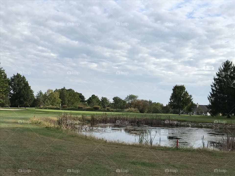 Course view with the water hazard, trees and pond