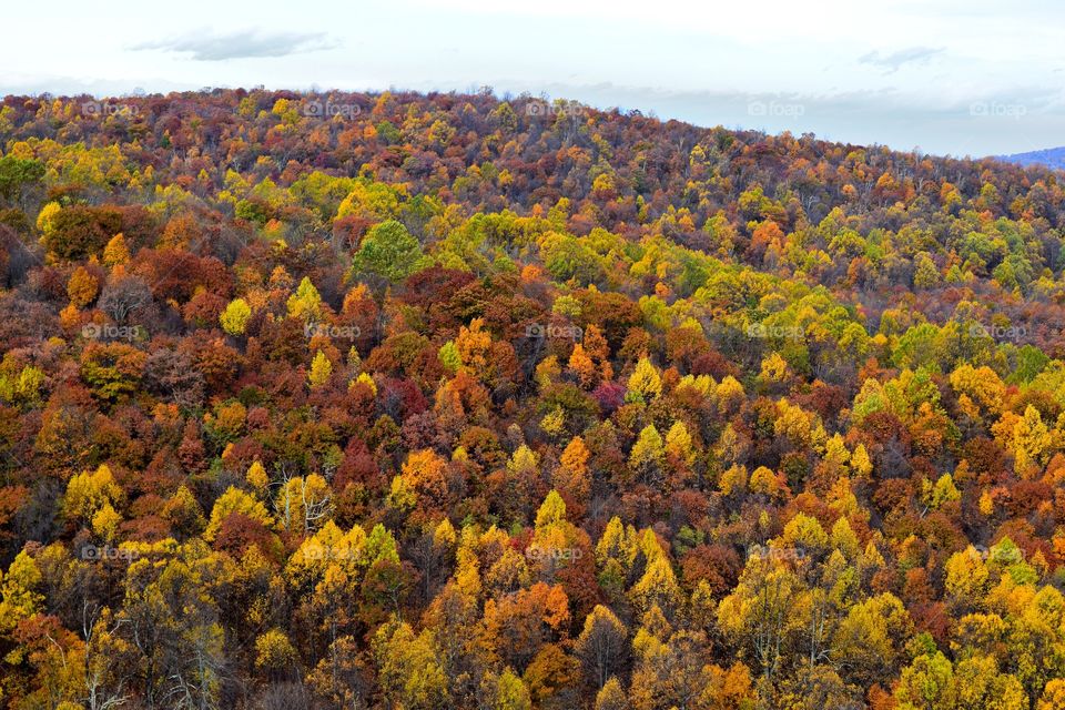 fall colored mountains