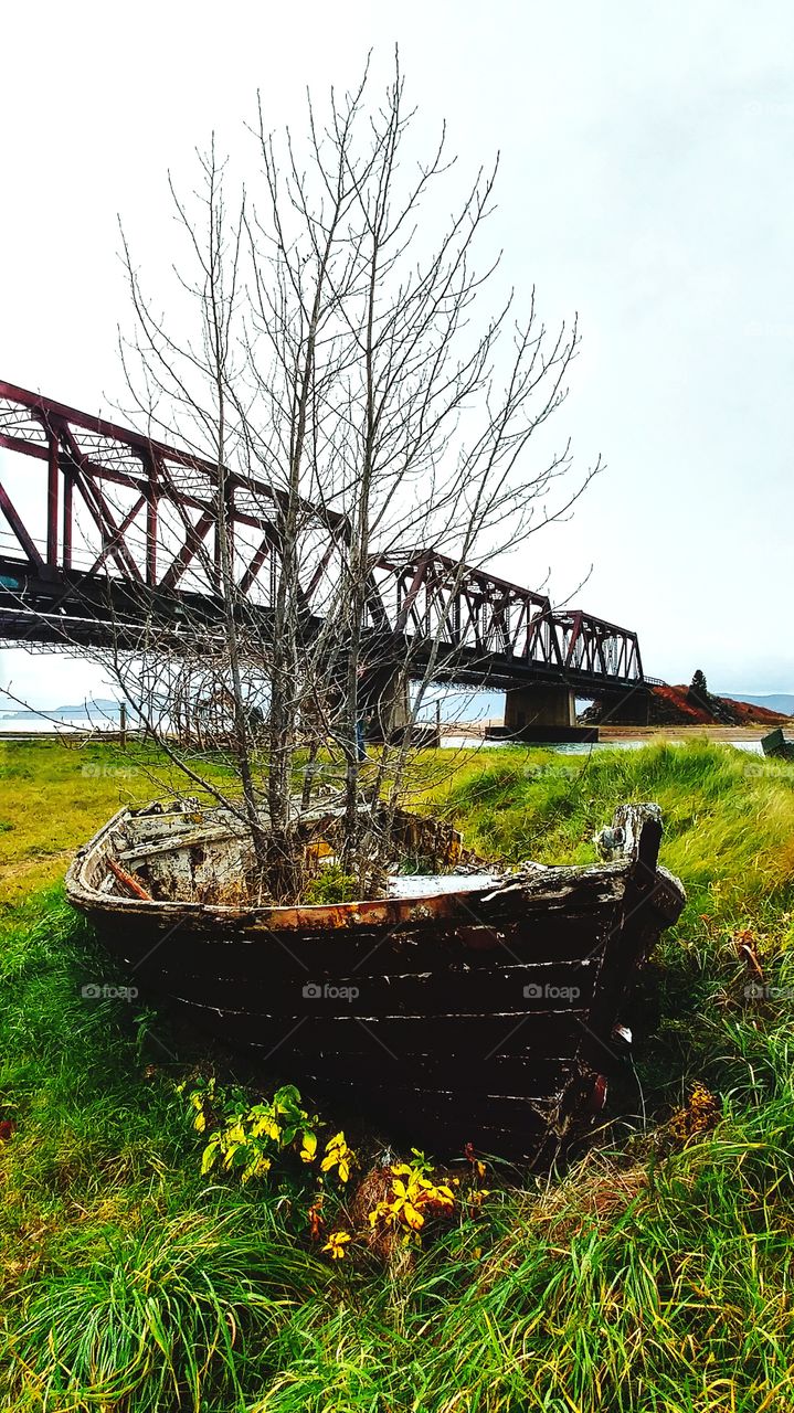 Train Bridge