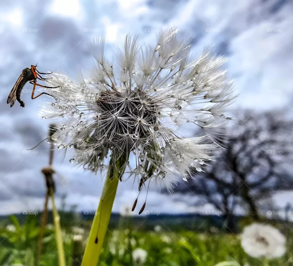 Amazing nature 