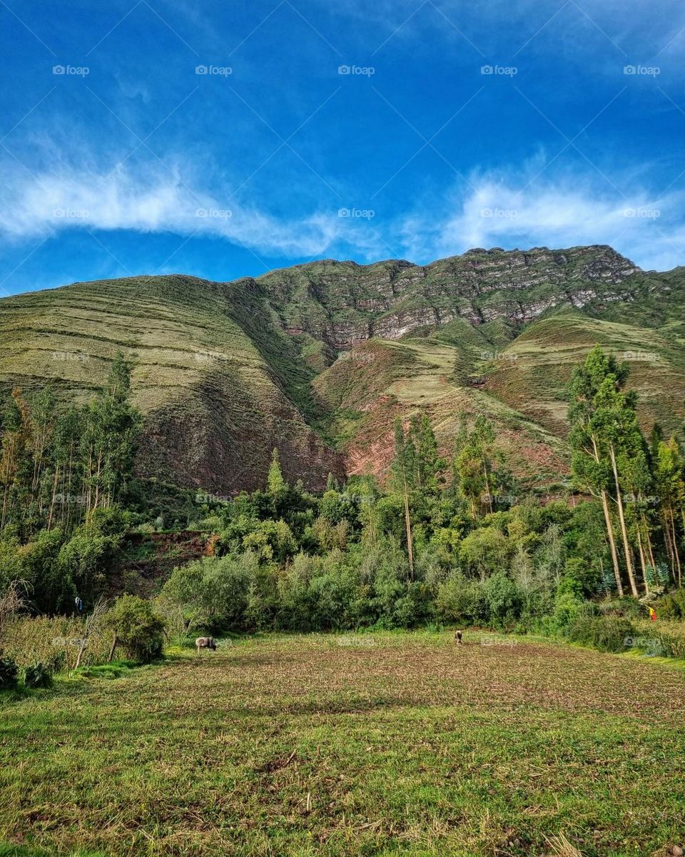 paisaje de los andes