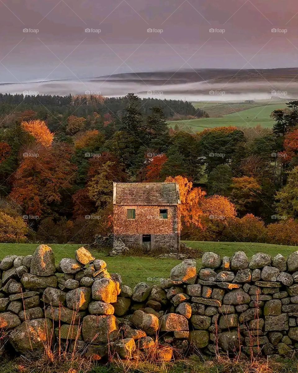 Glory be to God, the magnificent and picturesque view and the natural green trees are a view that is nothing more wonderful than it