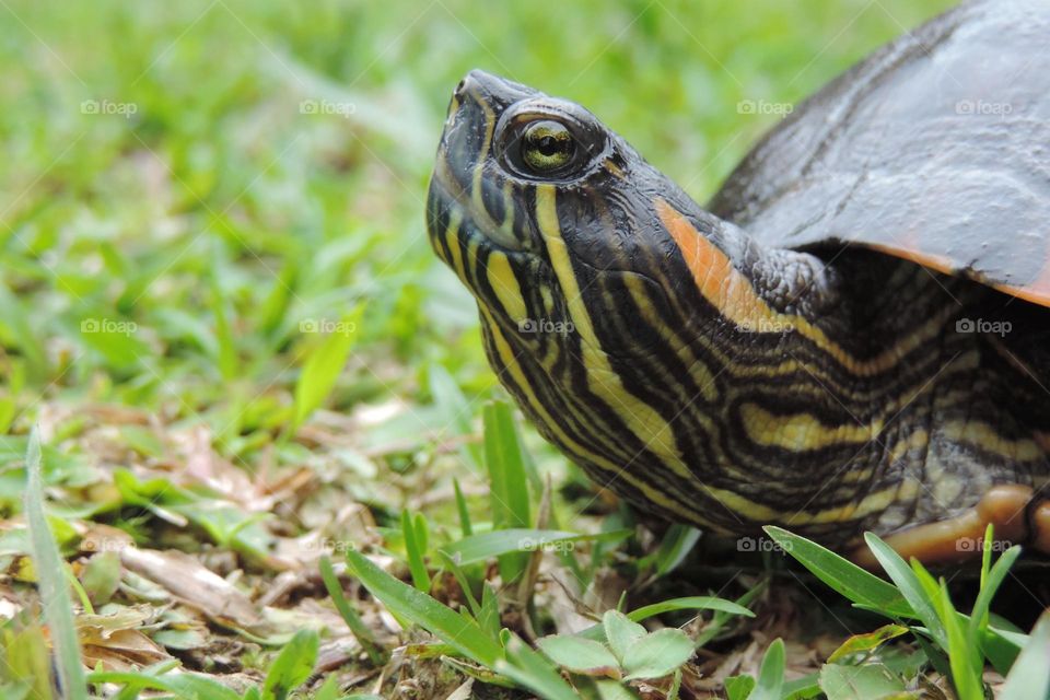 Donna "smelling" the fresh air around