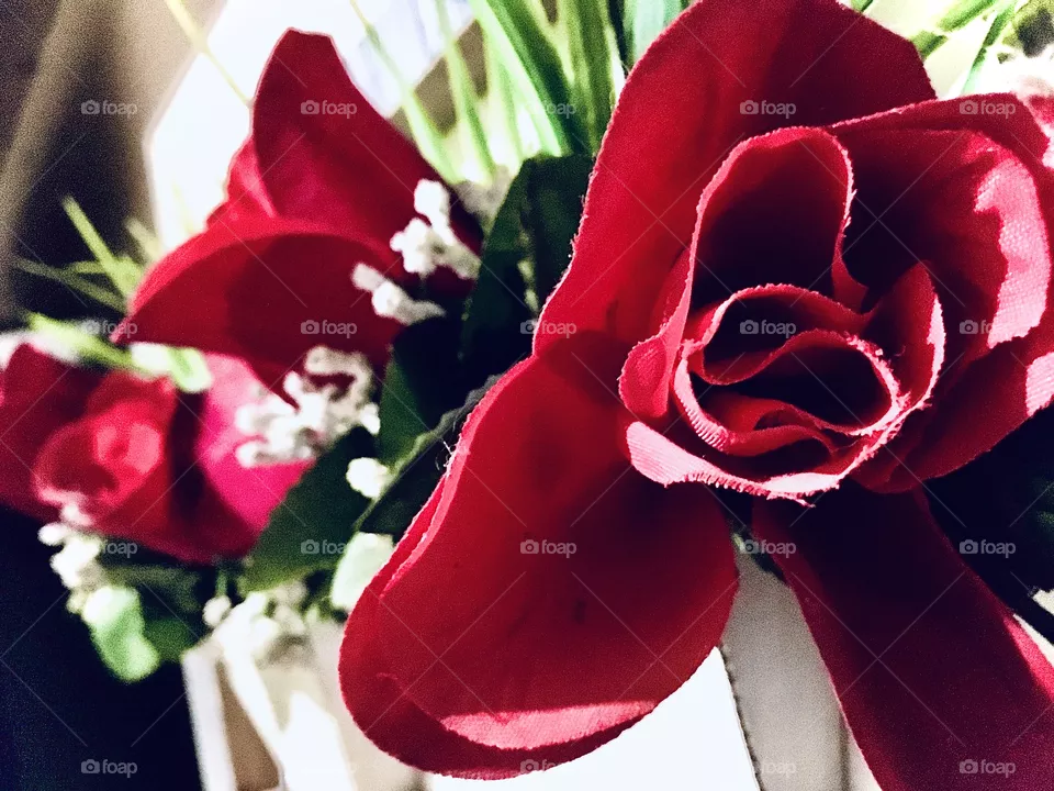 Flores 