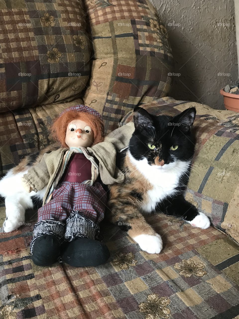 Chatte avec une peluche 