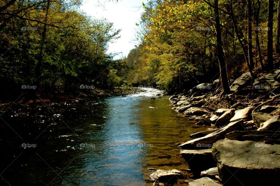 Tennessee River