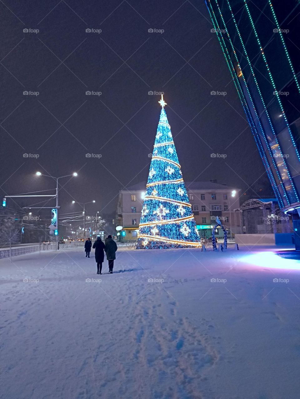 Beautiful Christmas tree