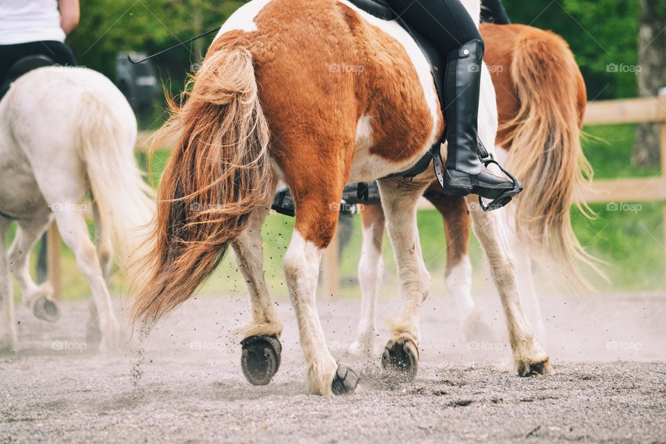 Horse riding