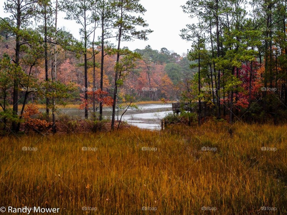 VA aquarium & wetlands