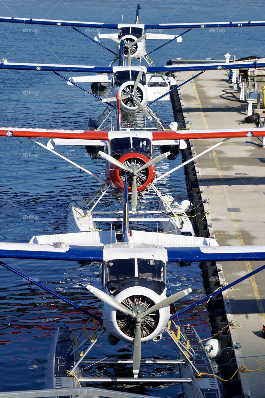 Four DeHavilland DHC-2 Beavers