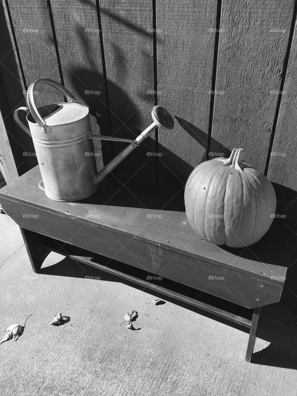 Water can and pumpkin black white still life
