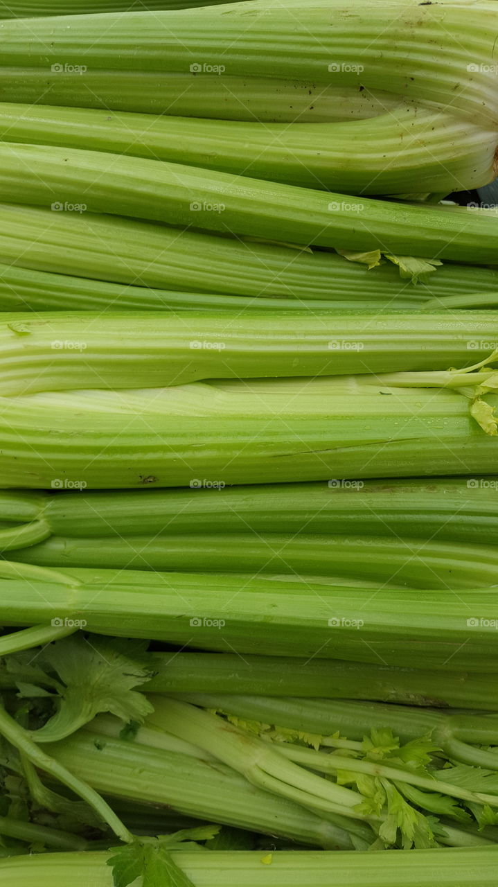 Celery