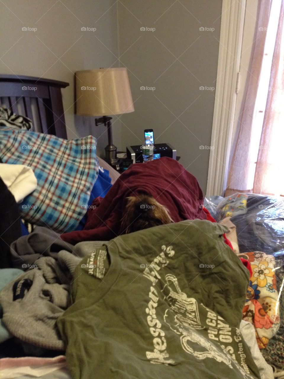 Unpacking!  Puppy lost in the mess!
