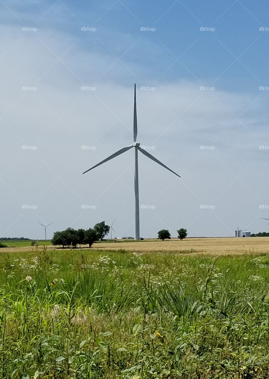 Kansas Windmills in June