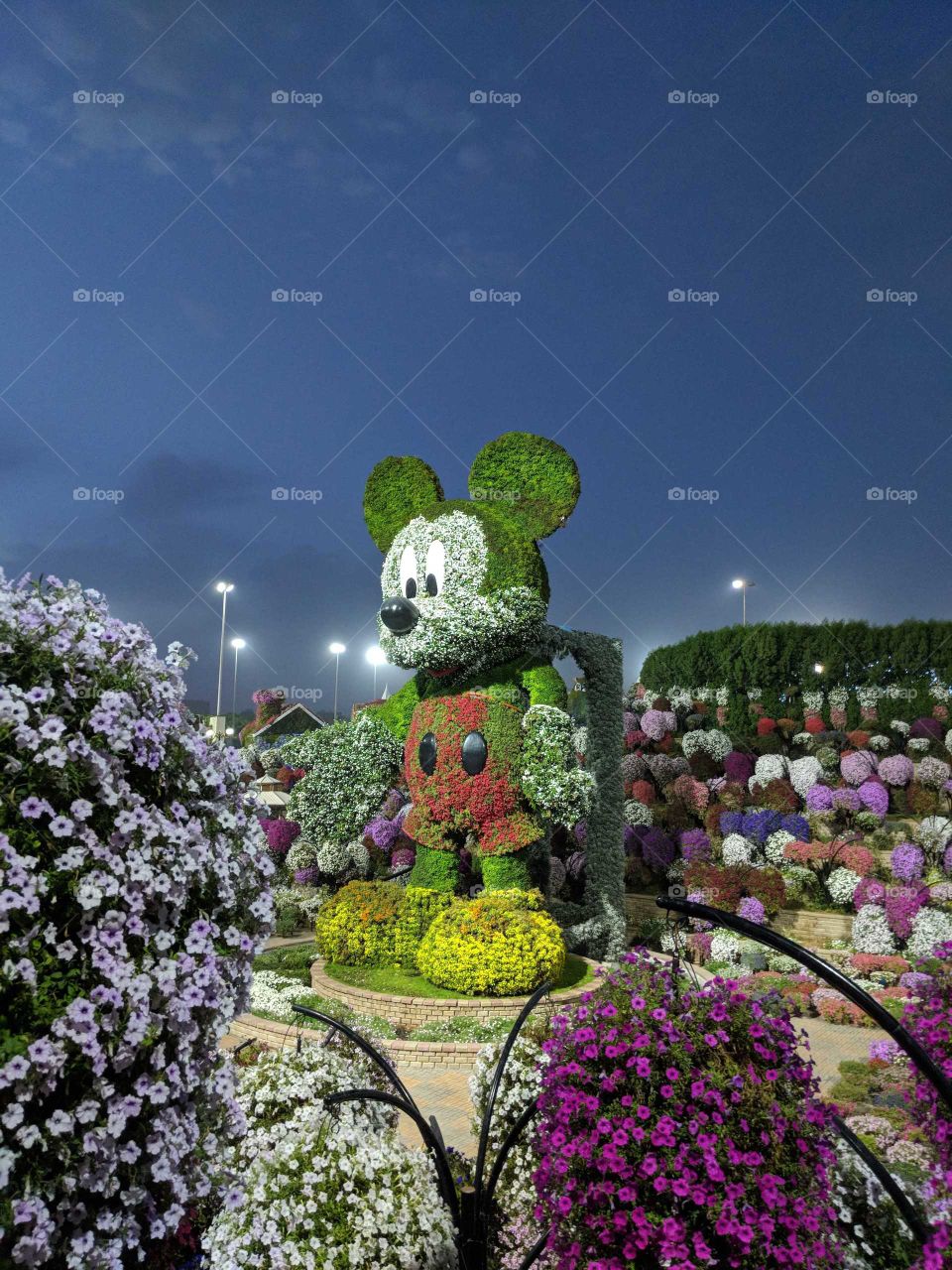 Mickey Mouse in Dubai