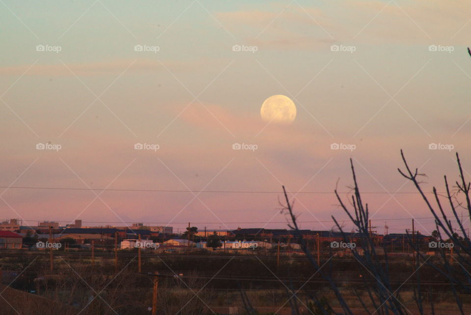 moonset dawn rose sky full moon tree landscape arizona southwest usa dawning horizon