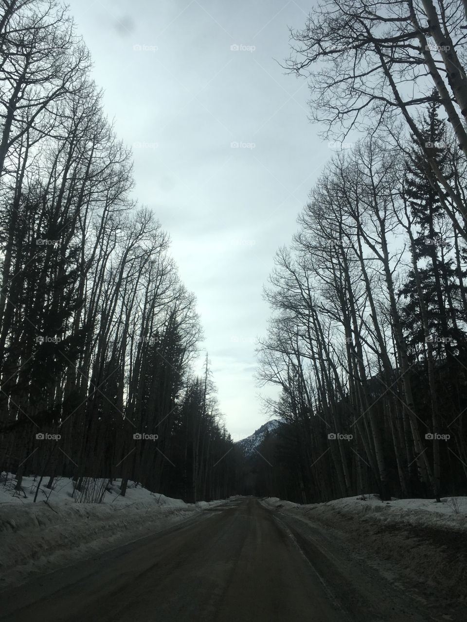 Colorado drive