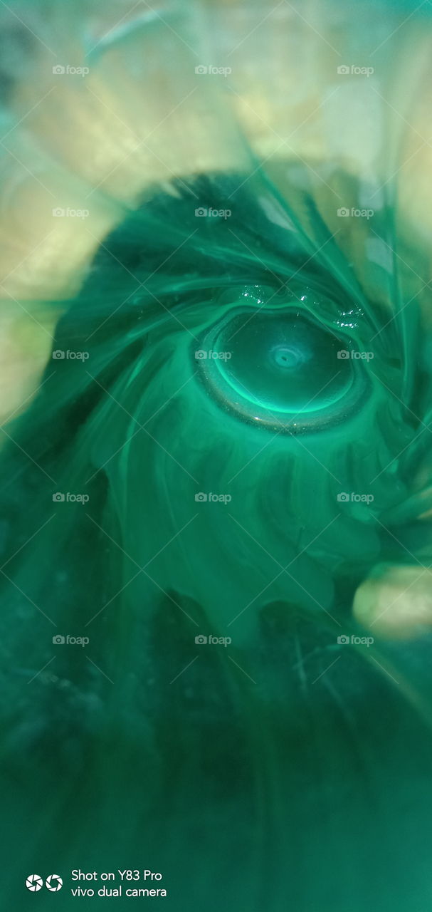 #foap #infoapartemen #foapjuly18 #foapaug18 #foapfeb18 #foapapril17 #foapers #foapjune18 #fotografoaprendiz #sfoapprentices #foaper #infoapartment #foapmission #foapmay18 #foapapr18 #foapit #infoaplikasipaytren #infoapple #foapom #foapjan19 #infoapp 