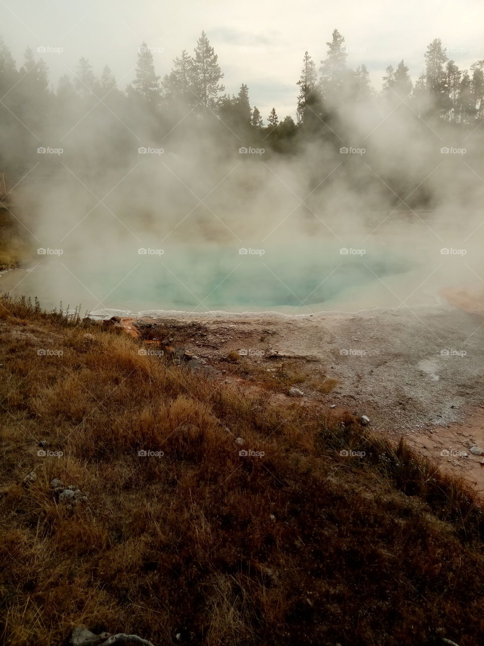 geyser at Yellowstone National Park