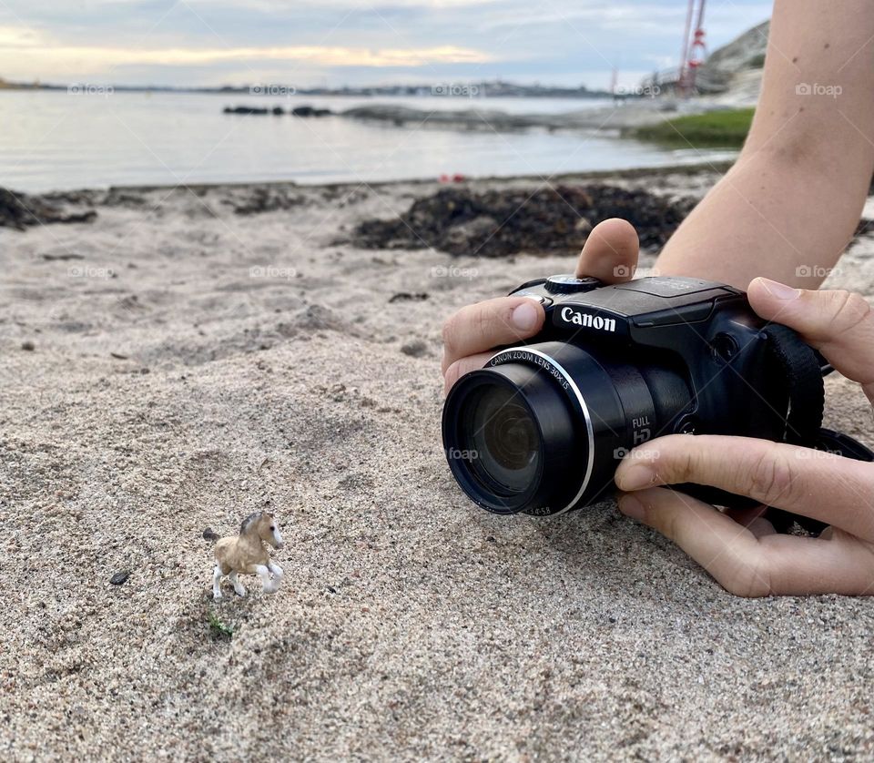 Model horse on the beach 