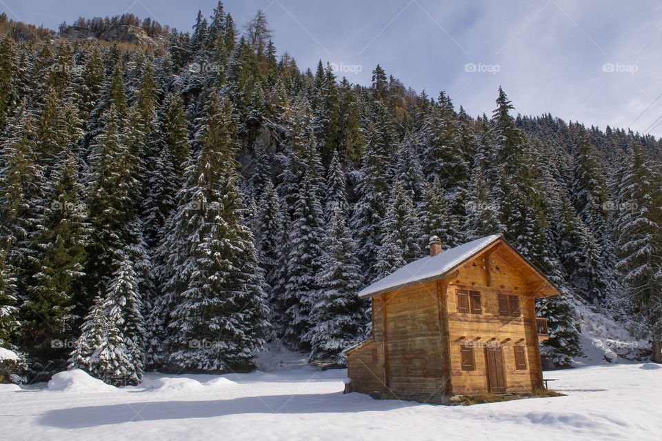 cabin in a winter landscape 
