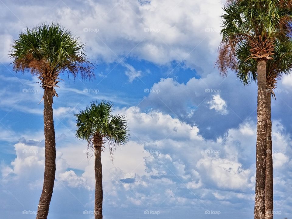 Breathtaking cloud coverage