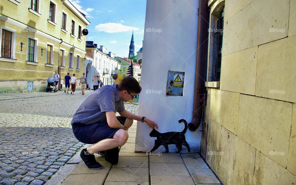 Cat with clerical collar on the wall
