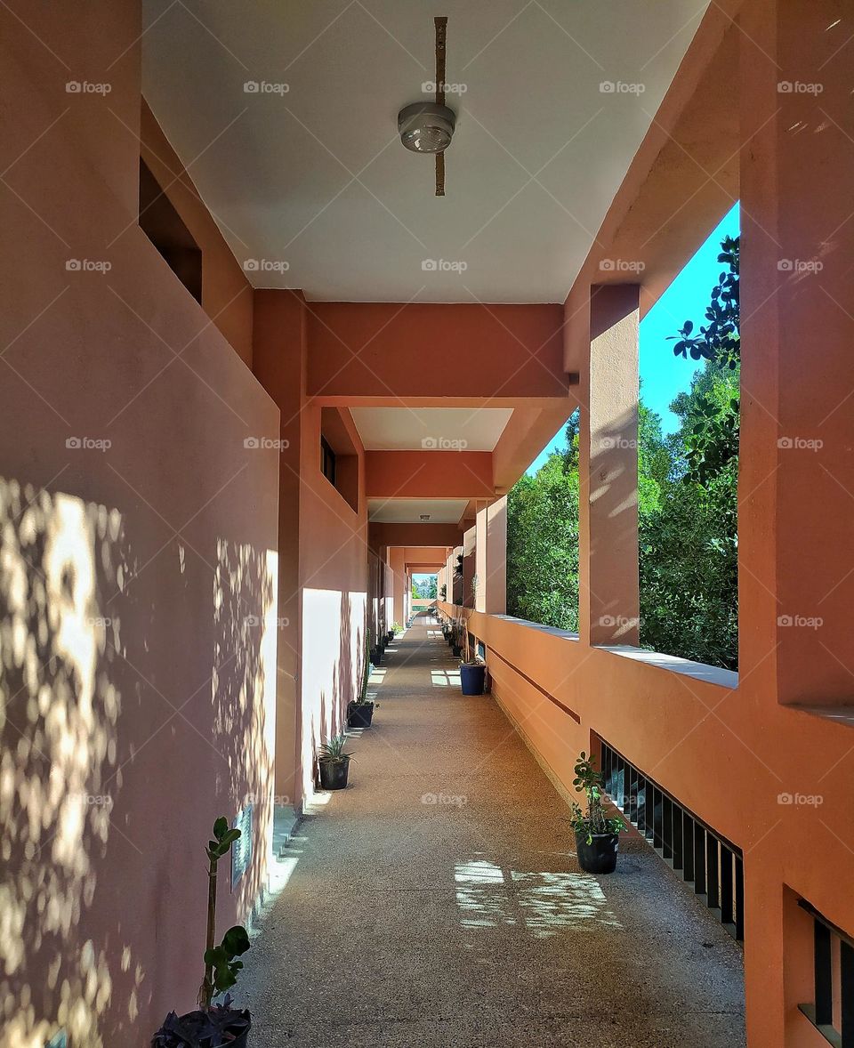 architecte, building 🏢