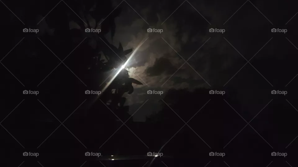 moon light