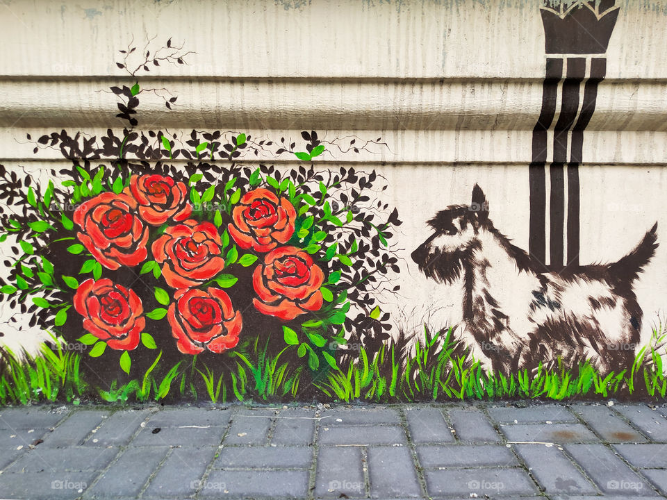 graffiti on the wall dog terrier and rose bush