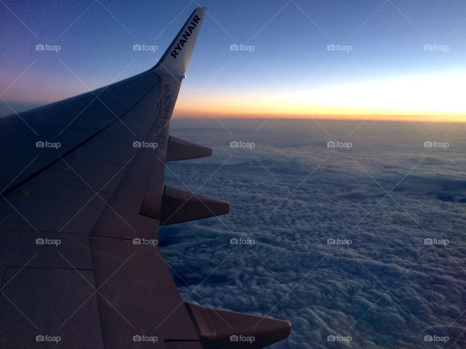 In Flight View