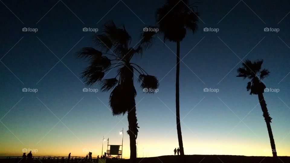 California Venice Beach sunset