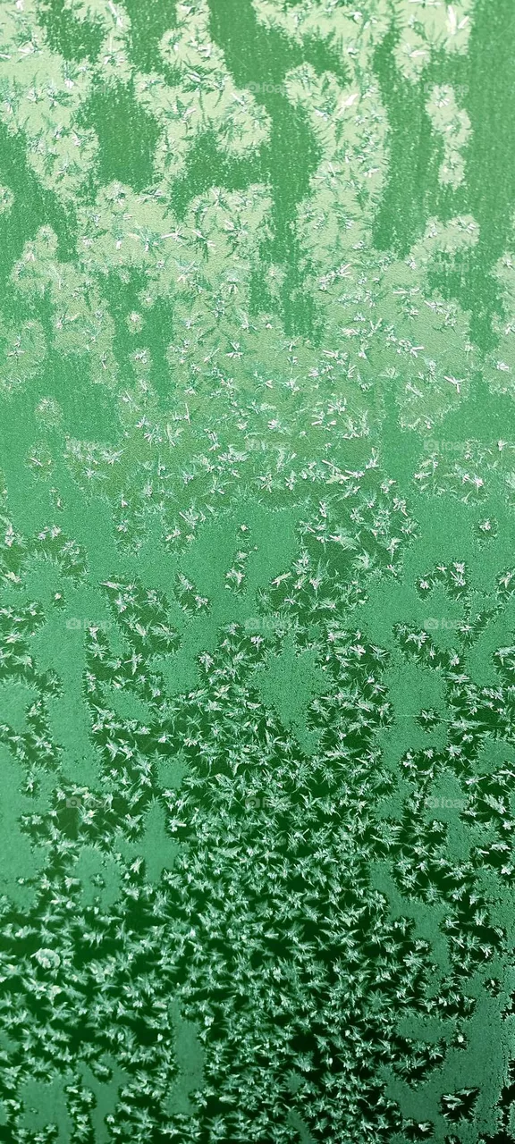 Interesting structures evolved in this frozen transparent ice cover. Water clustered together to snowflake or star shapes. At first glance we think that we have before us transparent glass with etched in patterns in it.  2023. Hypnotic Productions