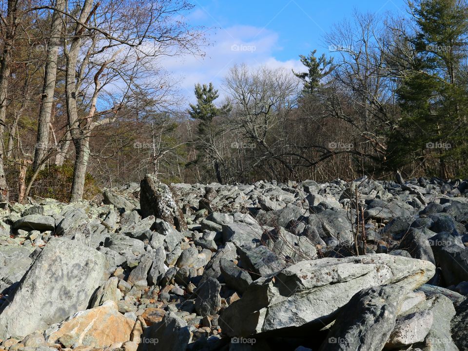 Rocks in forest