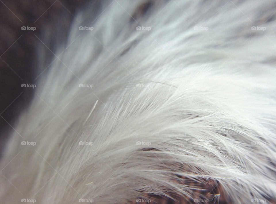 No Person, Nature, H2 O, Animal, Wet