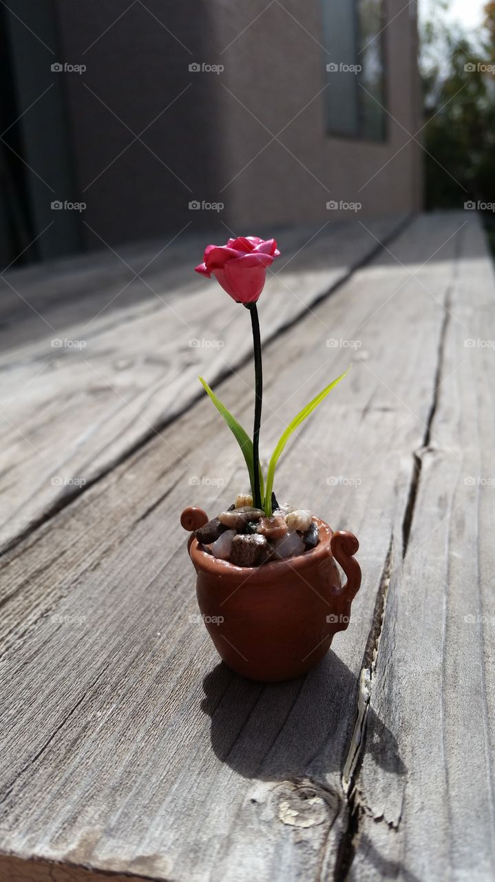 Handmade miniature polymer clay potted flower sitting on a picnic table.