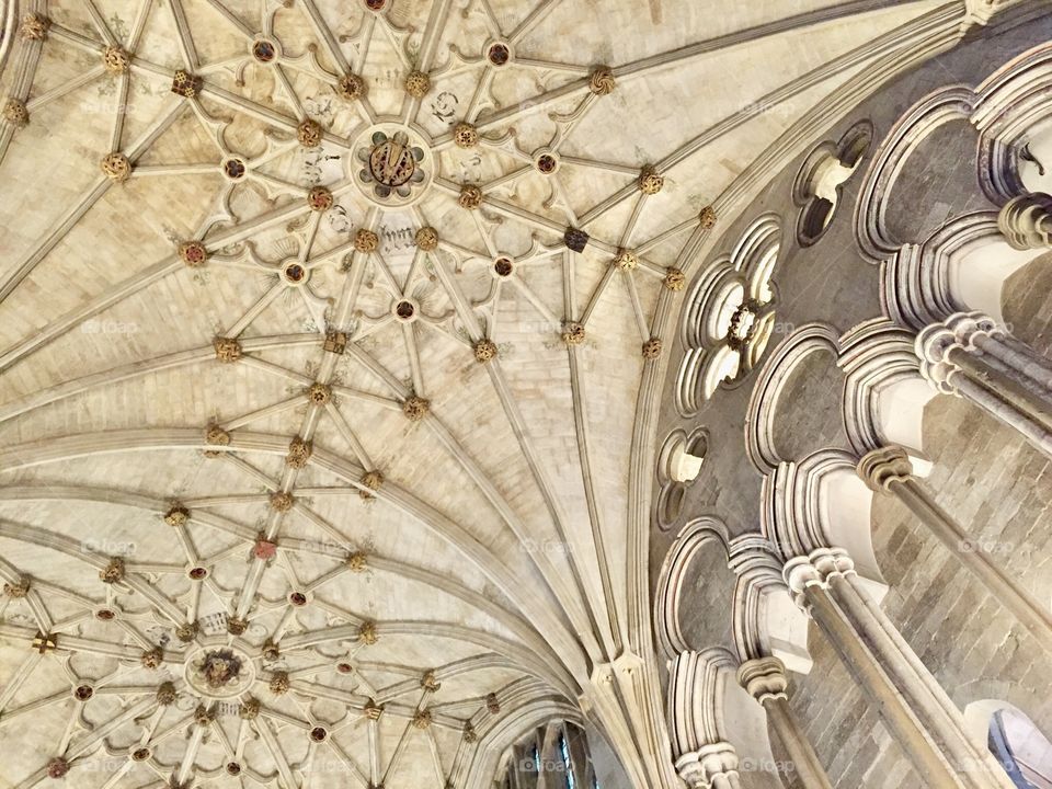 Winchester Cathedral's stunning vaulted ceiling. Amazing architecture.