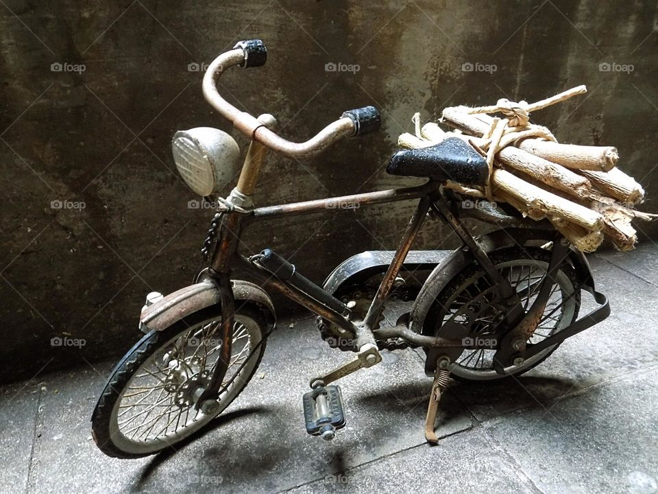 Looking for firewood with an old bicycle