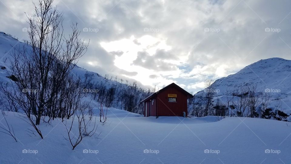 Winter landscape