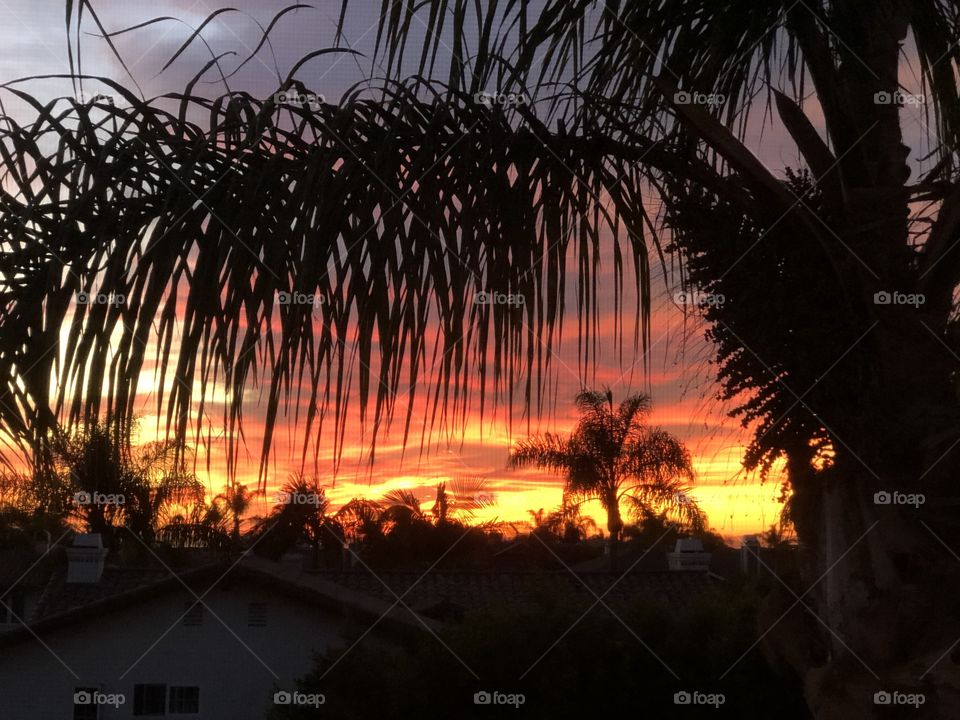 Foap Mission! Spectacular Sunset Over The Southern California Coastline With Silhouettes Of Palm Trees!