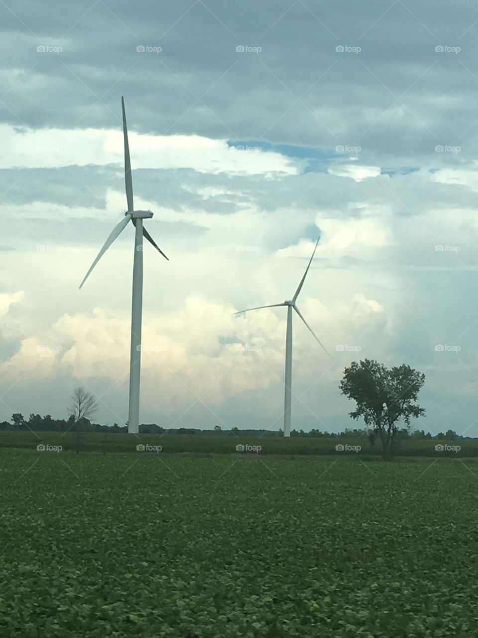 Wind turbines on the horizon