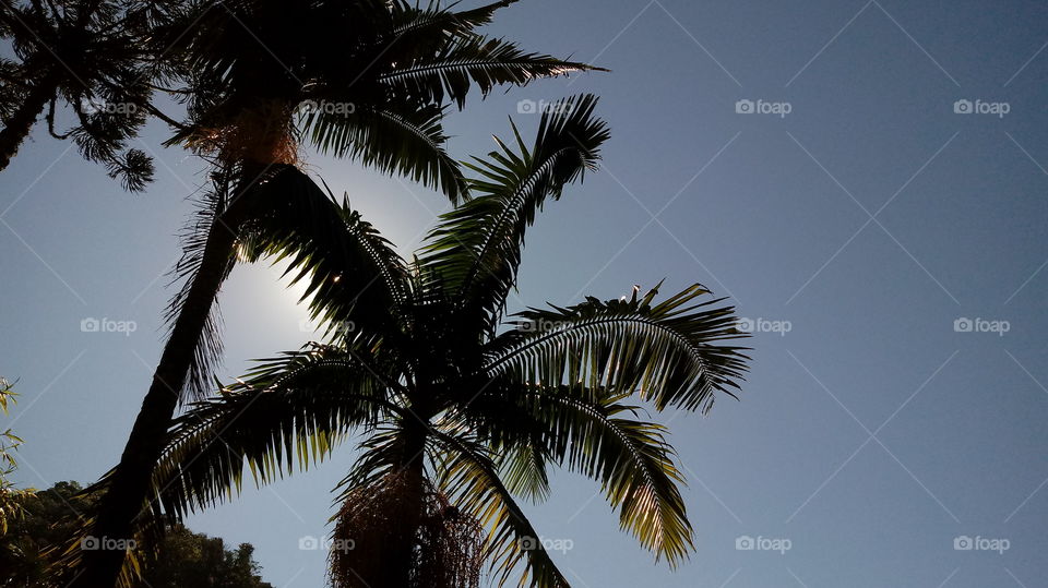 NATURE NATURAL ENVIRONMENT