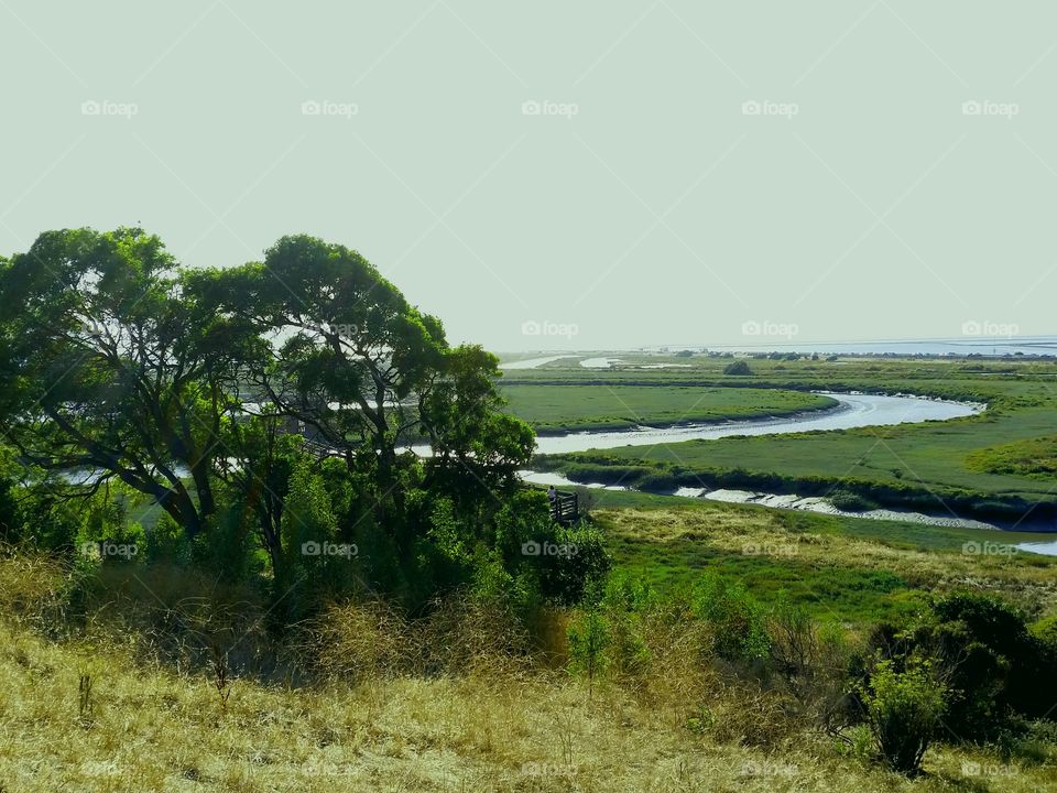 Slough. Slough flowing through green grassland