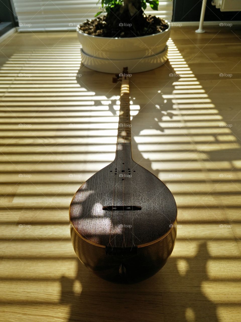 Musical instrument . Persian traditional instrument 