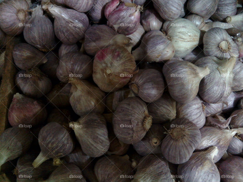 Tender garlic