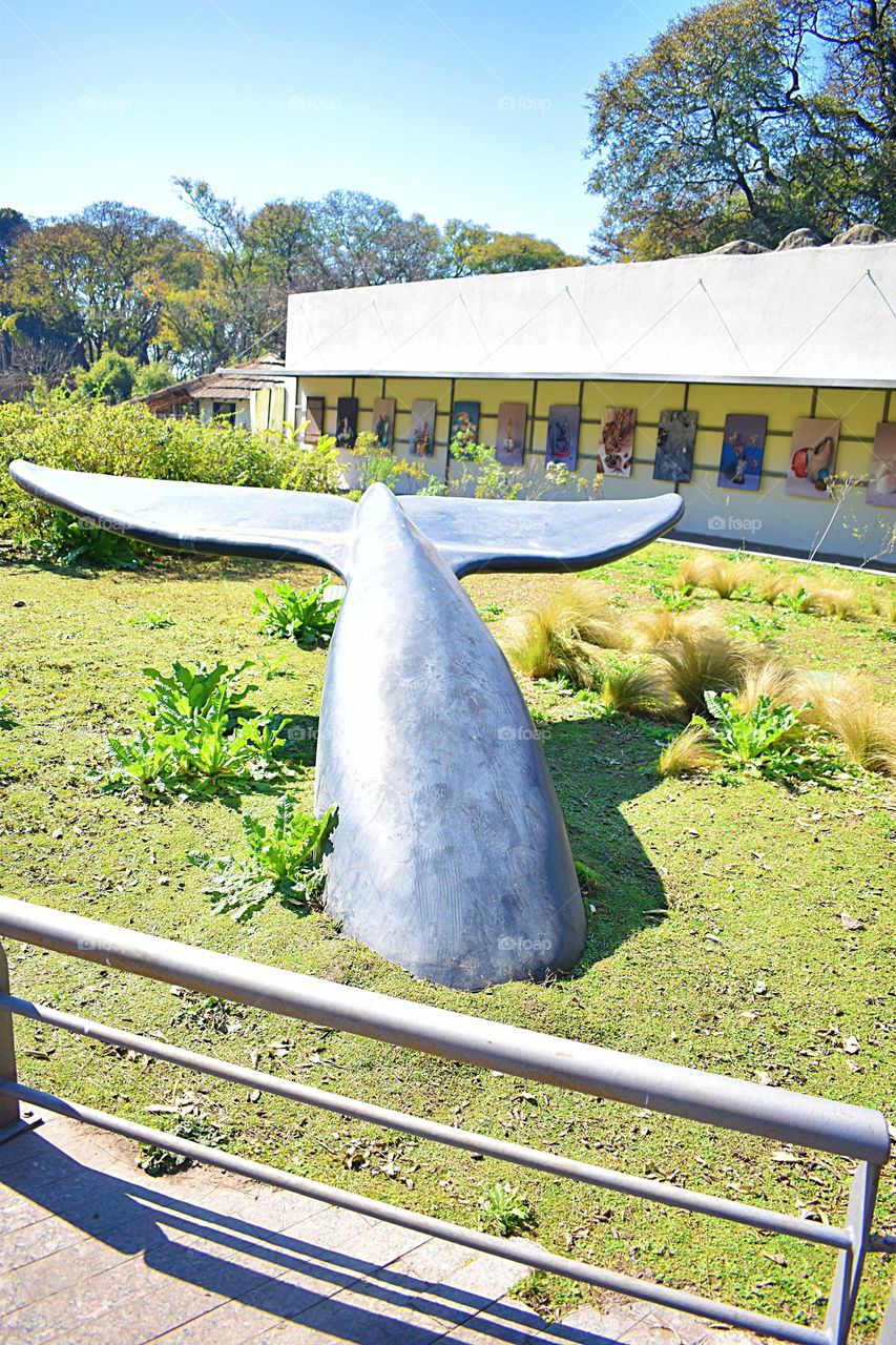 Ecoparque // Galeria de arte reciclado // Estacion Oceanica // Palermo . Buenos Aires . Argentina