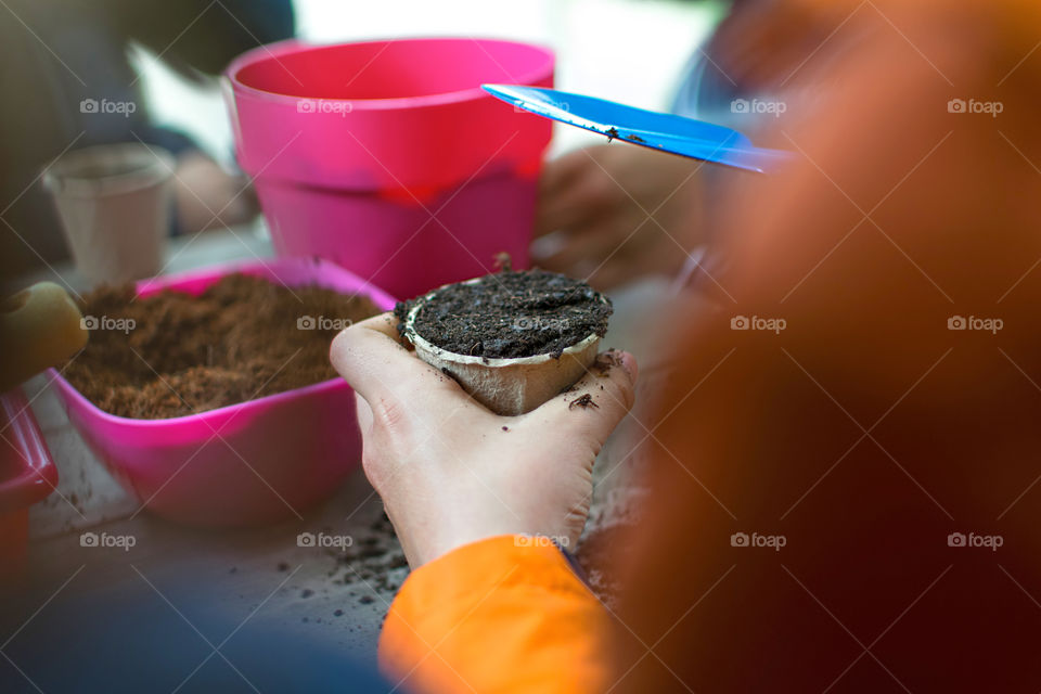 Children planting seeds at home