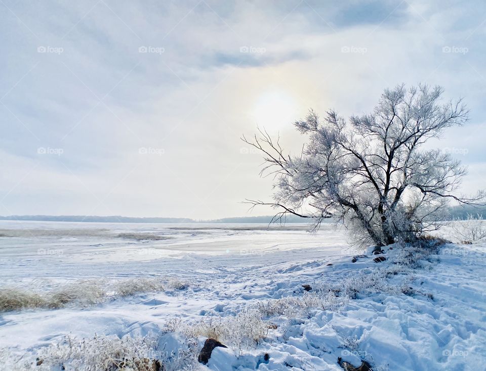 Gorgeous winter day. 